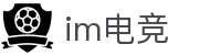 IM(股份有限公司)电竞-电子竞技平台